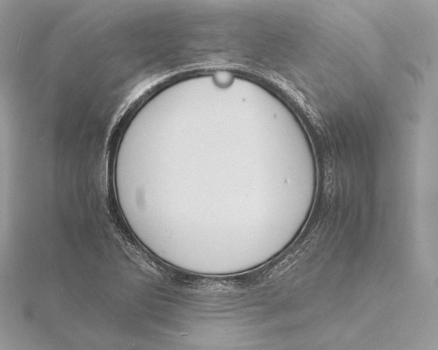 X0000115841270200912041701