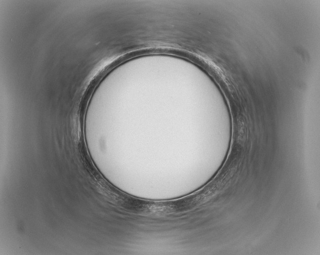 X0000115841271200912041701