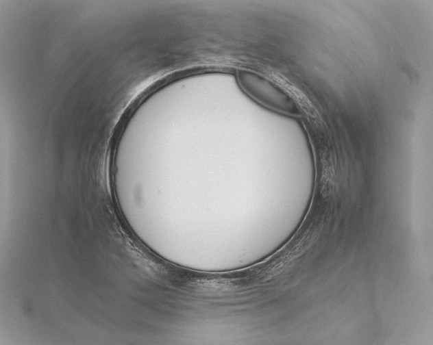 X0000115841272200912041701