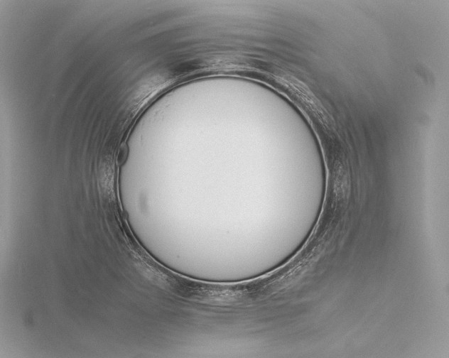 X0000115841273200912041701