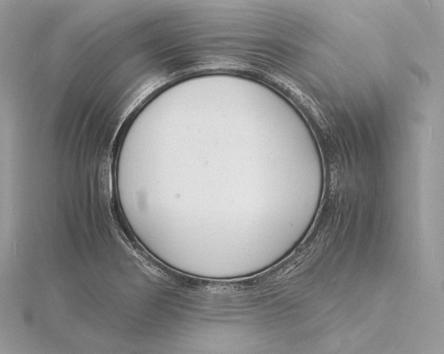 X0000115841274200912041701