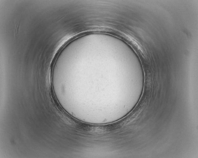 X0000115841275200912041701