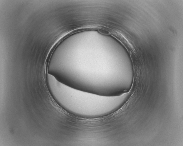 X0000115841276200912041701