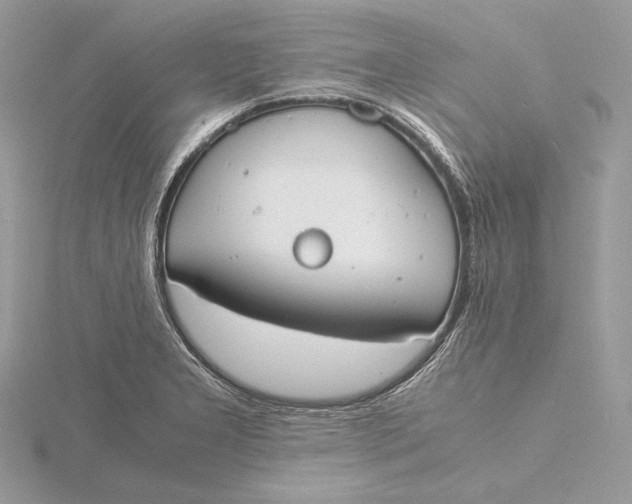 X0000115841277200912041701