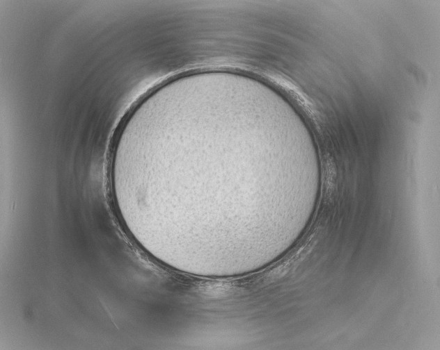 X0000115841278200912041701