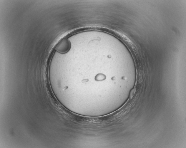 X0000115841279200912041701