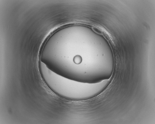 X0000115841280200912041701