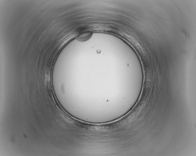 X0000115841281200912041701