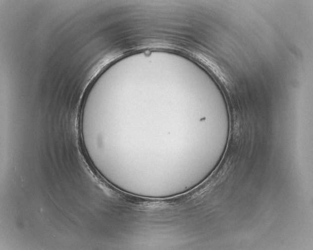 X0000115841282200912041701