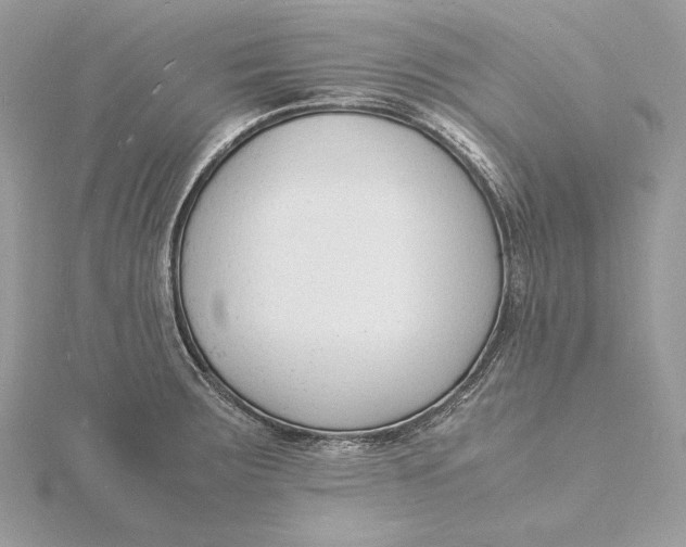 X0000115841283200912041701