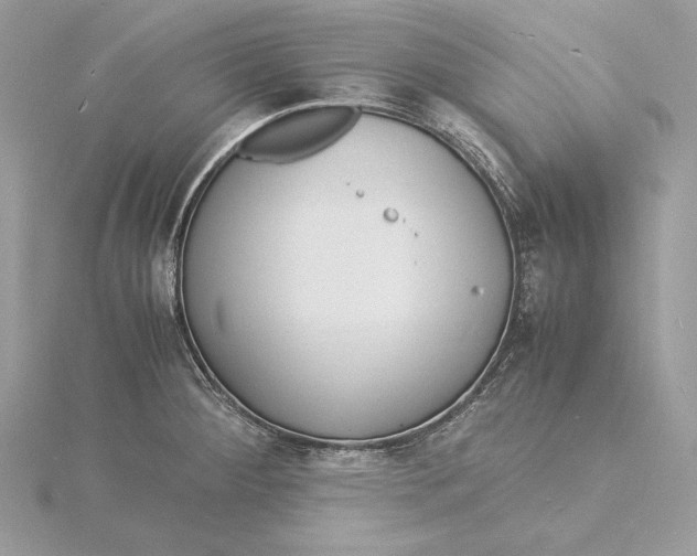 X0000115841284200912041701