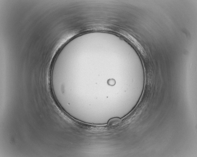 X0000115841285200912041701