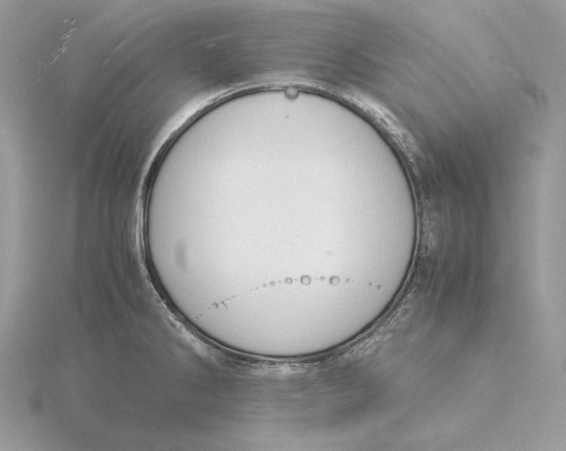 X0000115841286200912041701