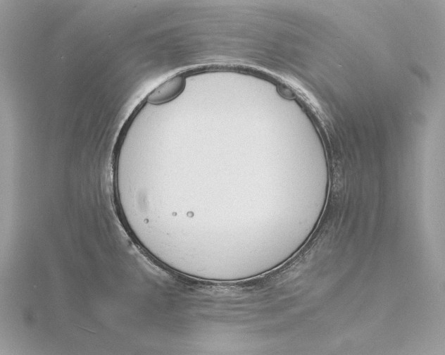 X0000115841287200912041701