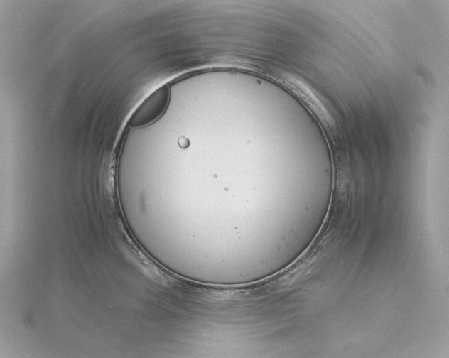 X0000115841292200912041701