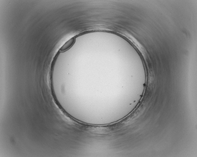 X0000115841293200912041700