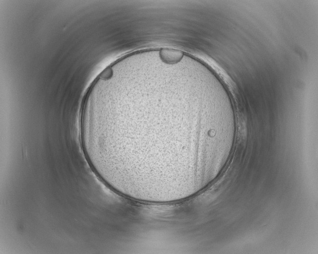 X0000115841294200912041700