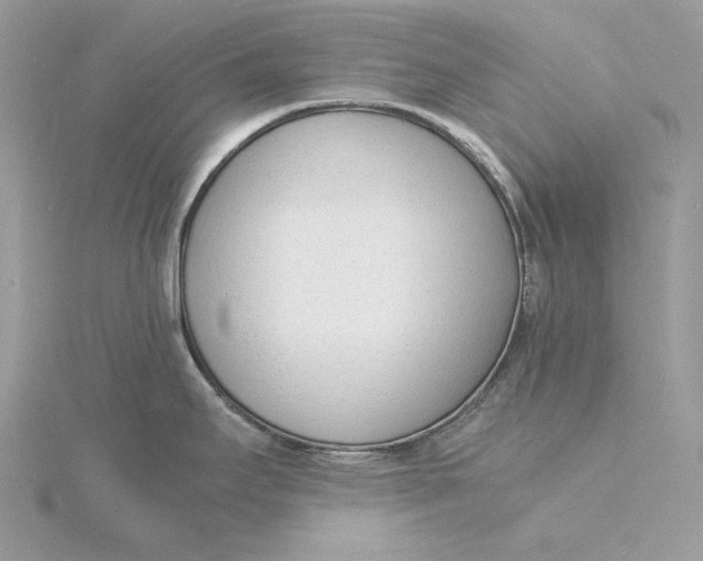 X0000115841295200912041700