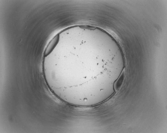 X0000115841296200912041700