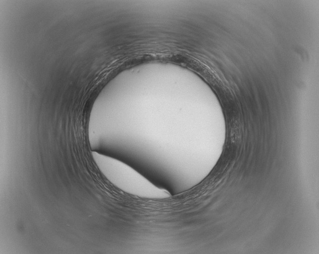 X0000115841298200912041700