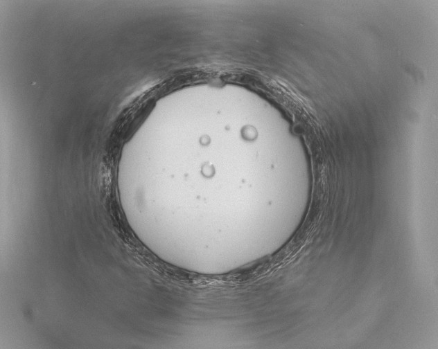 X0000115841302200912041700