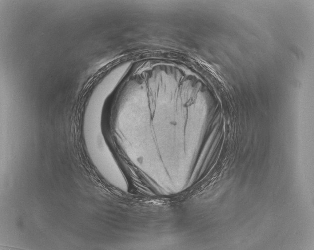 X0000115841303200912041700