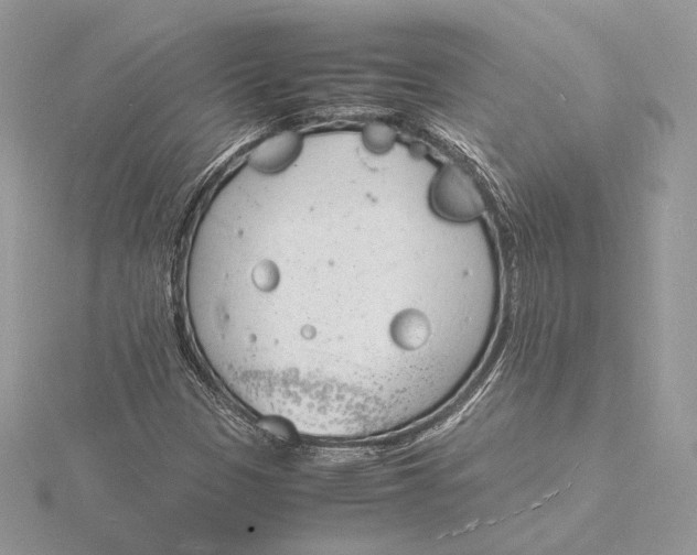 X0000115841305200912041700