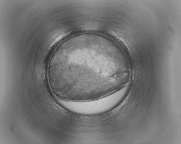 X0000115841306200912041700