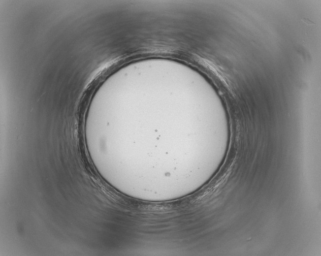 X0000115841307200912041700