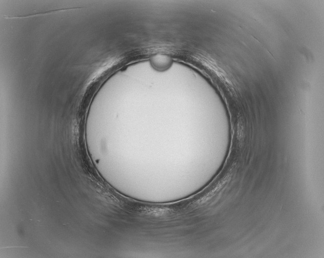 X0000115841309200912041700