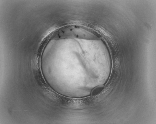 X0000115841310200912041700