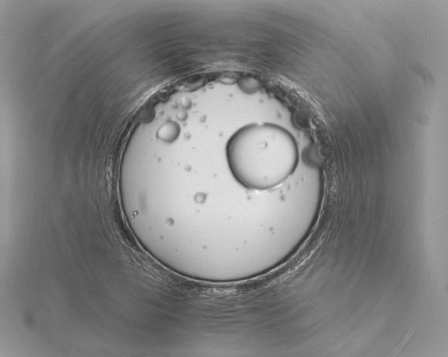 X0000115841313200912041700