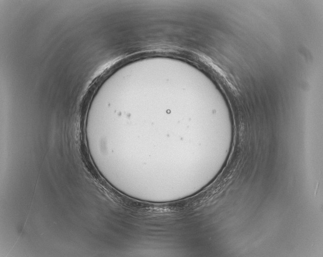 X0000115841315200912041700