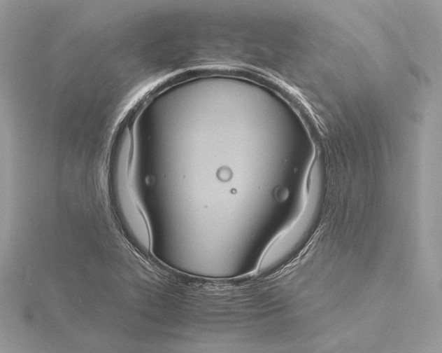 X0000115841319200912041700