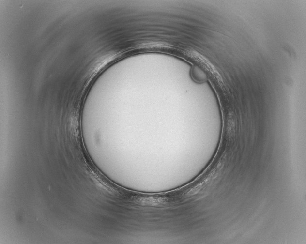 X0000115841321200912041700