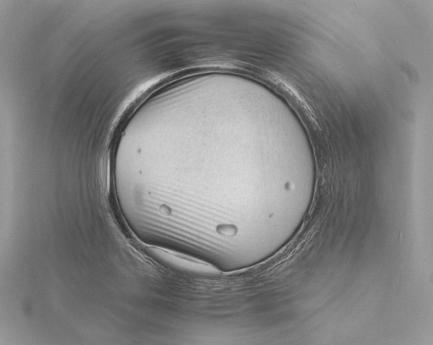 X0000115841323200912041700