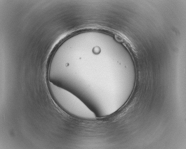 X0000115841326200912041700