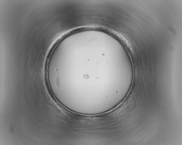 X0000115841327200912041700