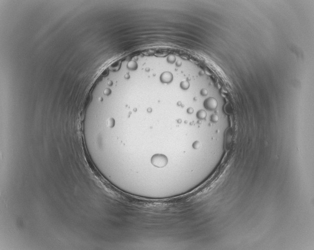 X0000115841329200912041700