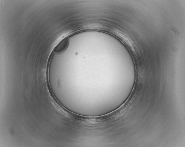 X0000115841330200912041700