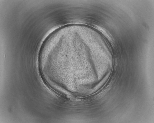 X0000115841331200912041700