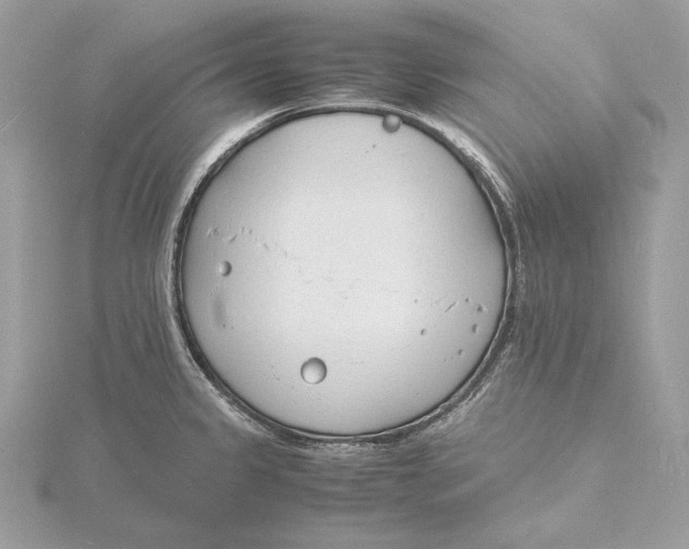 X0000115841333200912041700