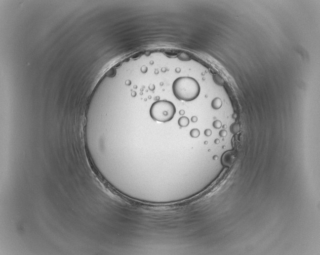 X0000115841337200912041700