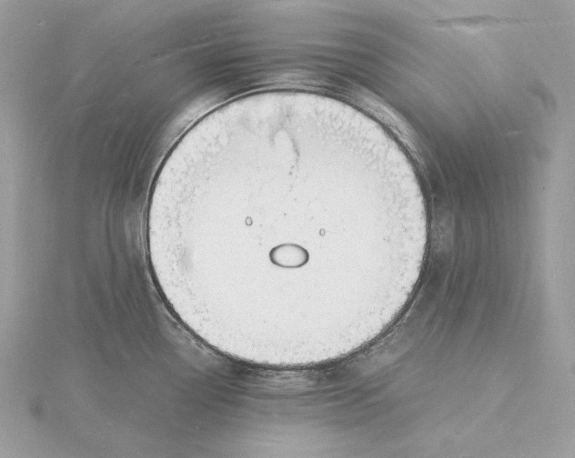 X0000115841338200912041700