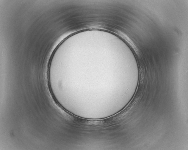 X0000115841339200912041700