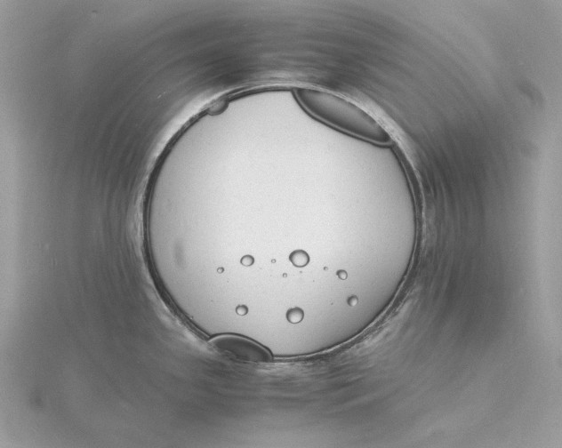 X0000115841341200912041700