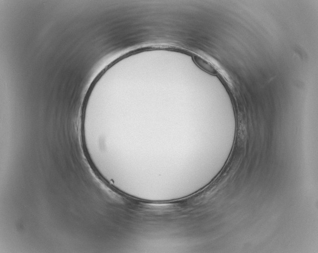 X0000115841343200912041700