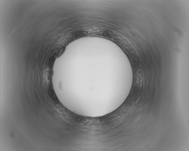 X0000115841346200912041700