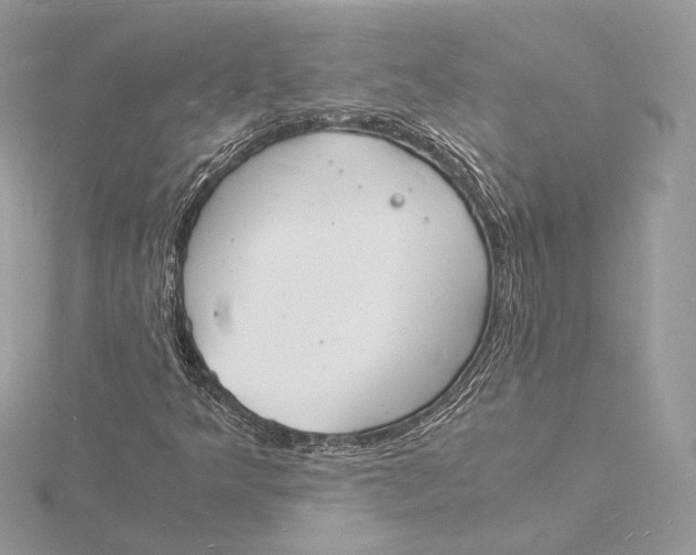 X0000115841349200912041700