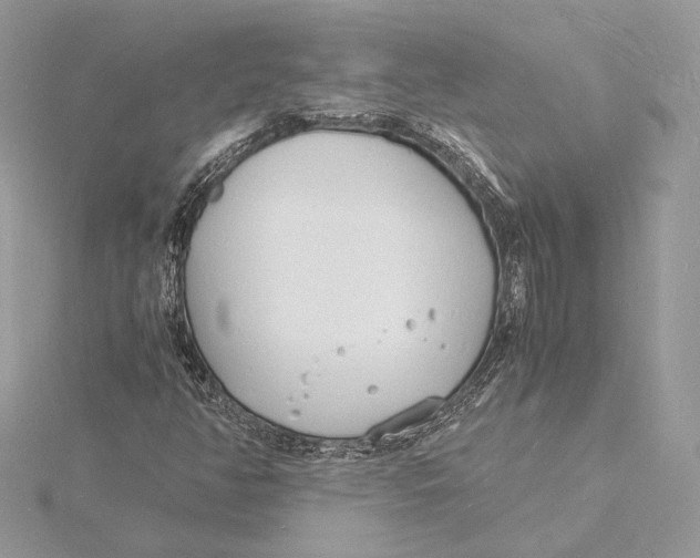 X0000115841350200912041700